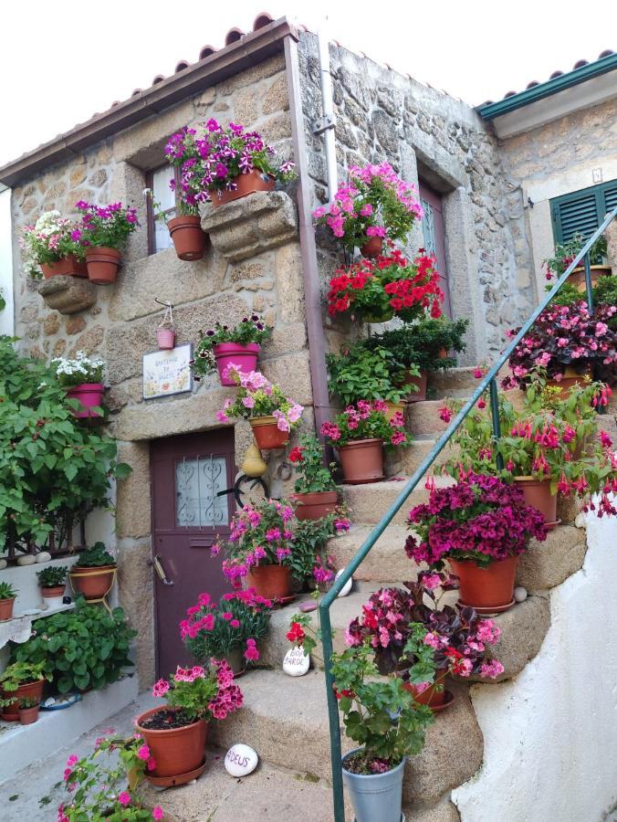 3 Marias Da Fonte Villa Lousa  Luaran gambar