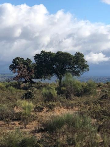 3 Marias Da Fonte Villa Lousa  Luaran gambar